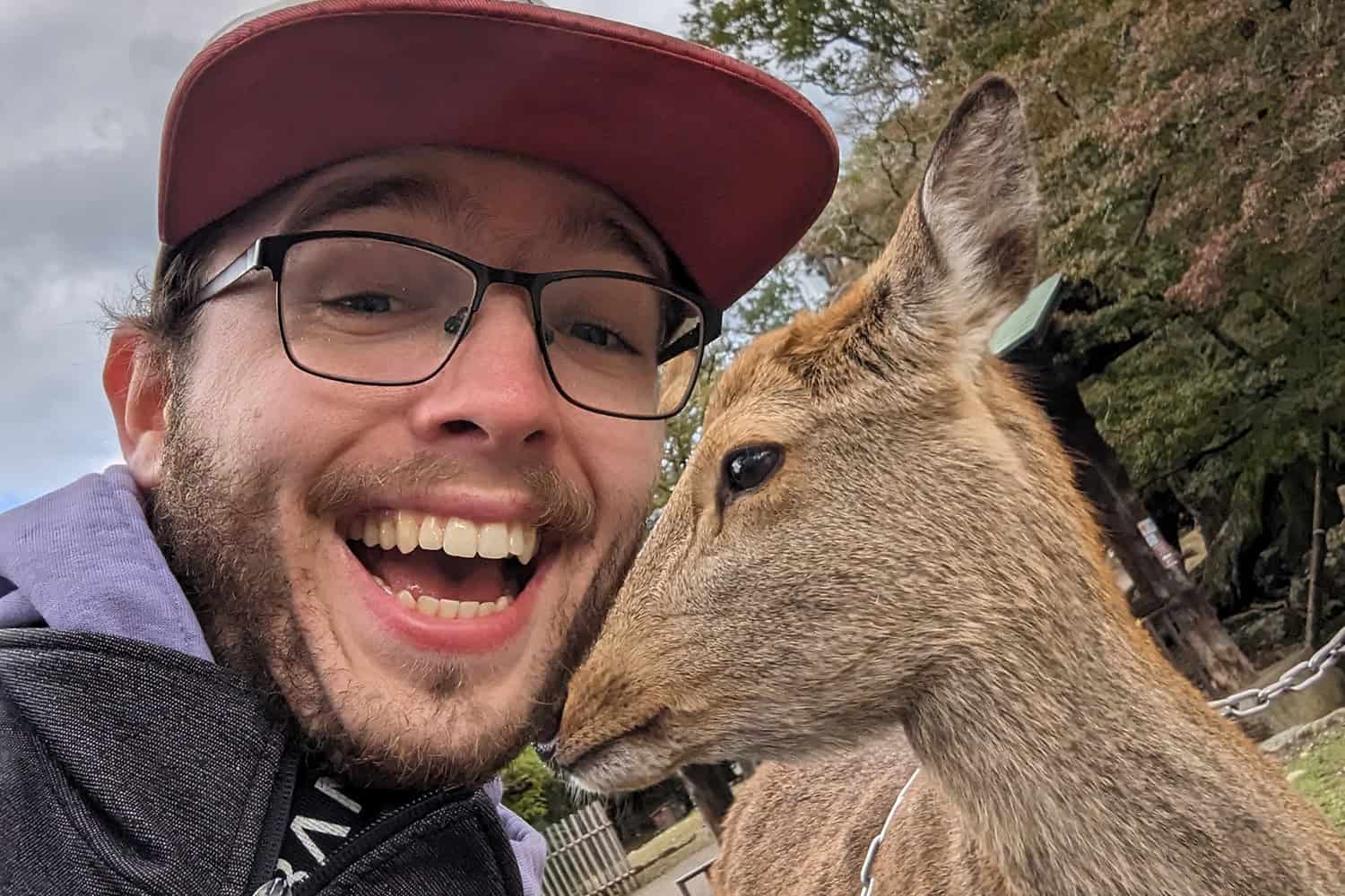 PXL_20231118_045216476